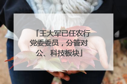 王大军已任农行党委委员，分管对公、科技板块