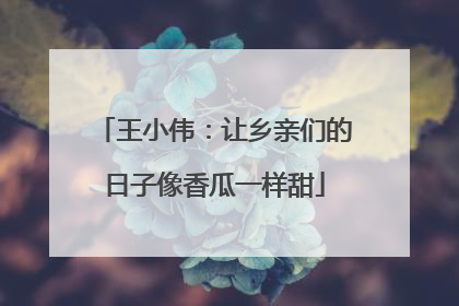 王小伟：让乡亲们的日子像香瓜一样甜