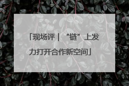 现场评｜“链”上发力打开合作新空间