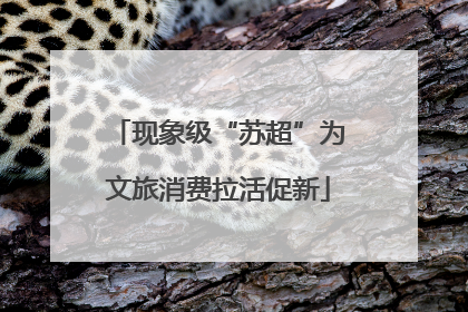 现象级“苏超”为文旅消费拉活促新