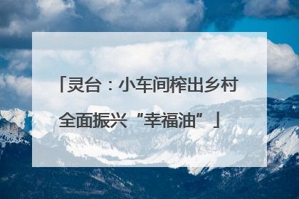 灵台：小车间榨出乡村全面振兴“幸福油”