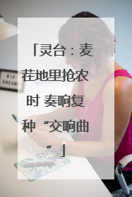灵台：麦茬地里抢农时 奏响复种“交响曲”