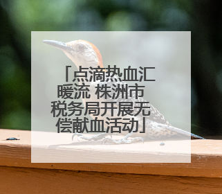 点滴热血汇暖流 株洲市税务局开展无偿献血活动