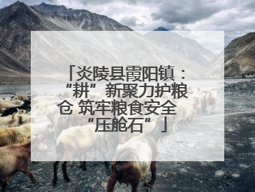 炎陵县霞阳镇：“耕”新聚力护粮仓 筑牢粮食安全“压舱石”