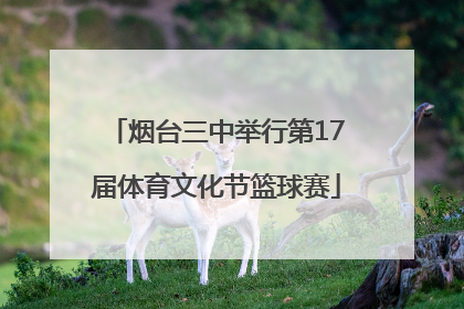 烟台三中举行第17届体育文化节篮球赛