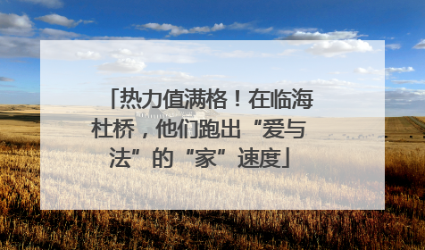 热力值满格！在临海杜桥，他们跑出“爱与法”的“家”速度