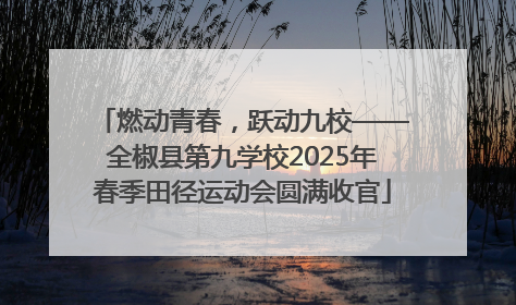 燃动青春，跃动九校——全椒县第九学校2025年春季田径运动会圆满收官