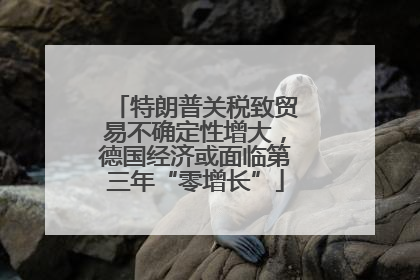 特朗普关税致贸易不确定性增大，德国经济或面临第三年“零增长”