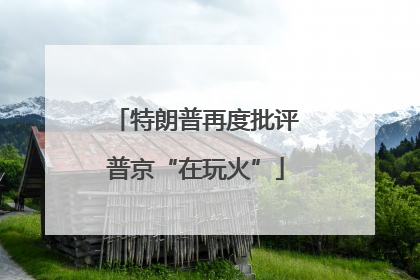 特朗普再度批评普京“在玩火”