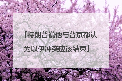 特朗普说他与普京都认为以伊冲突应该结束