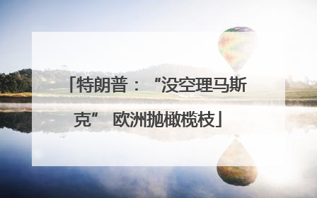 特朗普：“没空理马斯克” 欧洲抛橄榄枝