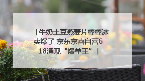 牛奶土豆燕麦片棒棒冰卖爆了 京东京喜自营618涌现“爆单王”