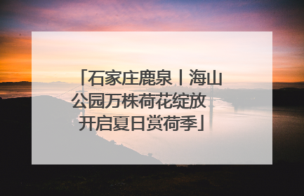 石家庄鹿泉丨海山公园万株荷花绽放 开启夏日赏荷季