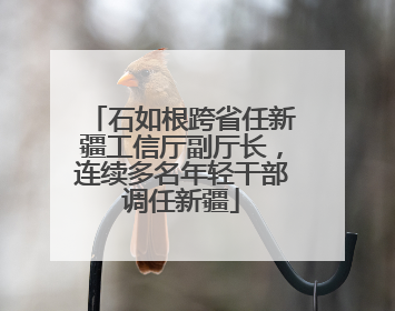 石如根跨省任新疆工信厅副厅长，连续多名年轻干部调任新疆