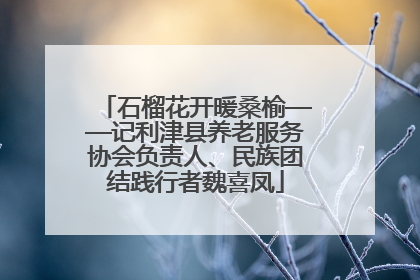 石榴花开暖桑榆——记利津县养老服务协会负责人、民族团结践行者魏喜凤