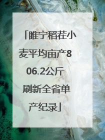 睢宁稻茬小麦平均亩产806.2公斤 刷新全省单产纪录