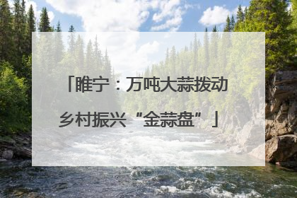 睢宁：万吨大蒜拨动乡村振兴“金蒜盘”