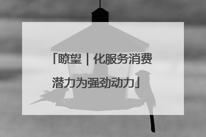 瞭望｜化服务消费潜力为强劲动力