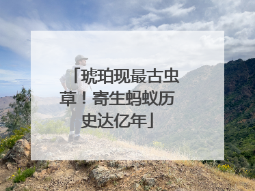 琥珀现最古虫草！寄生蚂蚁历史达亿年