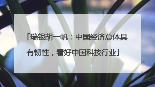 瑞银胡一帆：中国经济总体具有韧性，看好中国科技行业