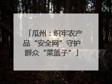 瓜州：织牢农产品“安全网”守护群众“菜篮子”