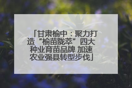 甘肃榆中：聚力打造“榆苗陇萃”四大种业育苗品牌 加速农业强县转型步伐