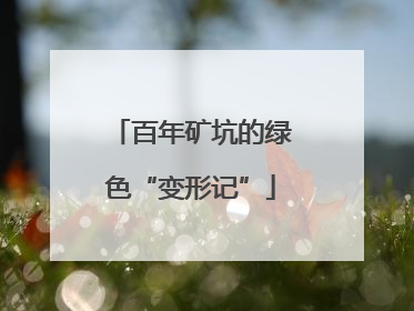 百年矿坑的绿色“变形记”