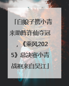 白娘子携小青来助阵许仙夺冠，《乘风2025》总决赛小青战袍来自吴江