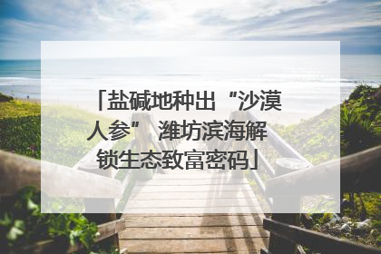 盐碱地种出“沙漠人参” 潍坊滨海解锁生态致富密码