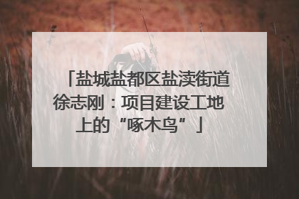 盐城盐都区盐渎街道徐志刚：项目建设工地上的“啄木鸟”