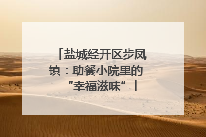 盐城经开区步凤镇：助餐小院里的“幸福滋味”
