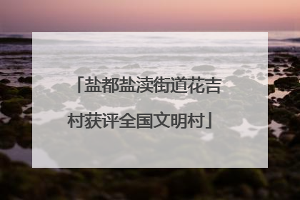 盐都盐渎街道花吉村获评全国文明村