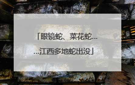眼镜蛇、菜花蛇……江西多地蛇出没
