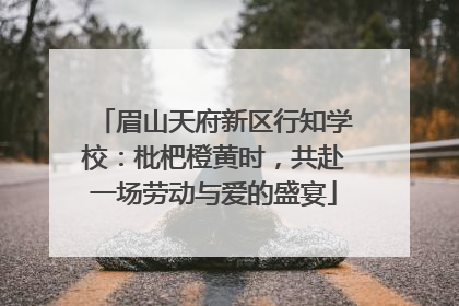 眉山天府新区行知学校：枇杷橙黄时，共赴一场劳动与爱的盛宴