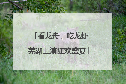 看龙舟、吃龙虾 芜湖上演狂欢盛宴