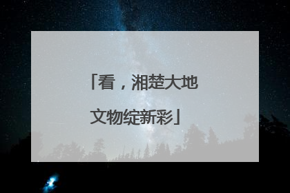 看，湘楚大地文物绽新彩