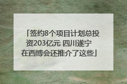签约8个项目计划总投资203亿元 四川遂宁在西博会还推介了这些