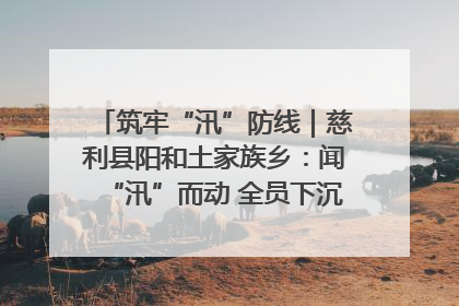 筑牢“汛”防线｜慈利县阳和土家族乡：闻“汛”而动 全员下沉筑牢防汛“安全堤”