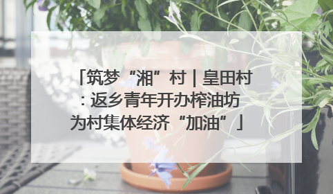 筑梦“湘”村｜皇田村：返乡青年开办榨油坊 为村集体经济“加油”