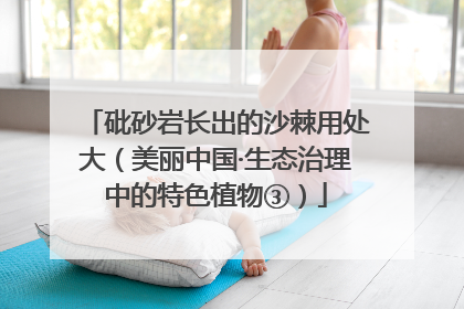 砒砂岩长出的沙棘用处大（美丽中国·生态治理中的特色植物③）