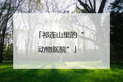 祁连山里的“动物医院”