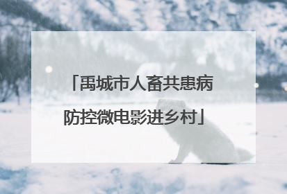 禹城市人畜共患病防控微电影进乡村