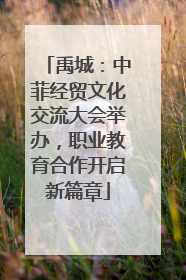 禹城：中菲经贸文化交流大会举办，职业教育合作开启新篇章