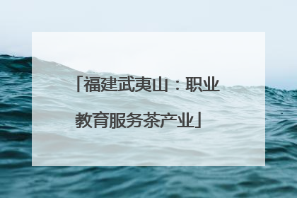 福建武夷山：职业教育服务茶产业