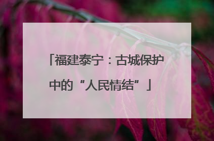 福建泰宁：古城保护中的“人民情结”