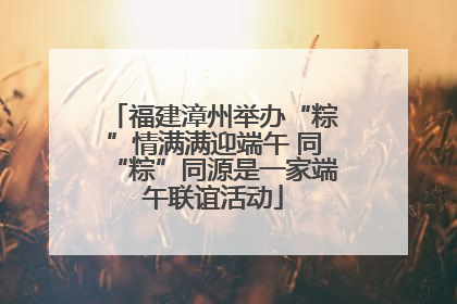 福建漳州举办“粽”情满满迎端午 同“粽”同源是一家端午联谊活动