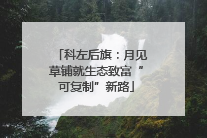 科左后旗：月见草铺就生态致富“可复制”新路