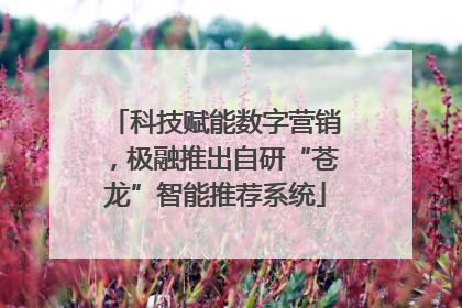 科技赋能数字营销，极融推出自研“苍龙”智能推荐系统