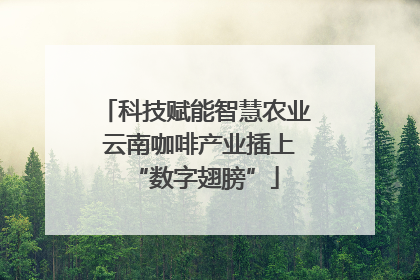 科技赋能智慧农业 云南咖啡产业插上“数字翅膀”
