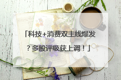 科技+消费双主线爆发？多股评级获上调！